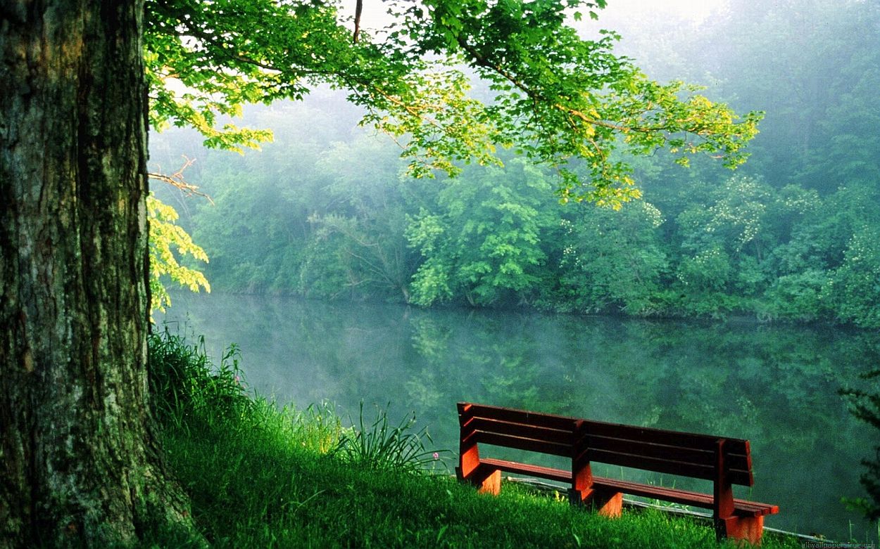alone-bench-nature-wallpaper-peace-of-mind alone-bench-nature-wallpaper-peace-of-mind